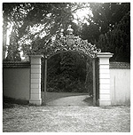 Portal: Arboretum by Debra Howell