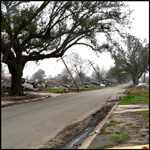 Post-Katrina Photo by Debra Howell