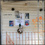 Post-Katrina Photo by Debra Howell