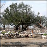 Post-Katrina Photo by Debra Howell