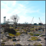 Post-Katrina Photo by Debra Howell