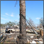 Post-Katrina Photo by Debra Howell